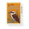 Kookaburra Illustrated Postcard | Australia |