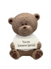 TEDDY MOMENTS BEARS