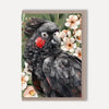 Australian Animal Illustrated Greeting Cards
