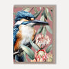 Australian Animal Illustrated Greeting Cards