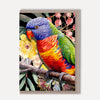 Australian Animal Illustrated Greeting Cards