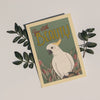 Cockatoo Illustrated Postcard | Australia |