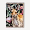 Australian Animal Illustrated Greeting Cards