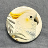Australian Birds Large Magnets
