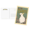 Cockatoo Illustrated Postcard | Australia |