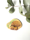 AUSTRALIAN ANIMAL WOODEN MAGNETS