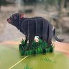 Tassie Devil pop up Card