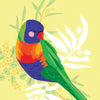 AUSTRALIAN BIRD MINI GIFT CARDS