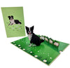 Pop Card Border Collie Dog