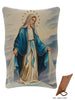 PLASTIC PLAQUE- MIRACULOUS MARY 11 X 7CM