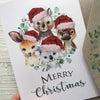 Australian Animals Christmas Cards - Mini