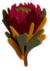 Iris Red Waratah Brooch