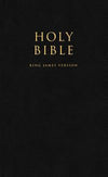 King James Version soft cover Bible